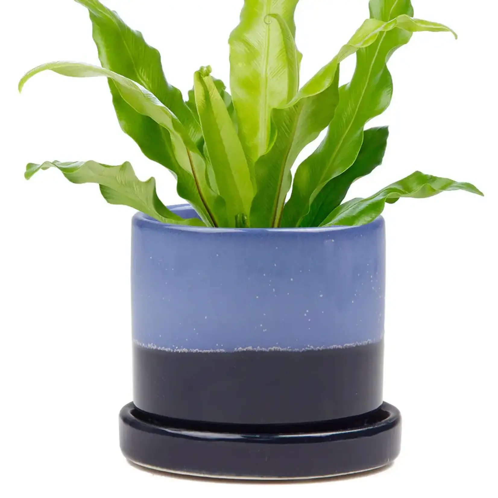 Pot, Cobalt Blue w/s