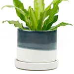 Pot, Green Blue w/s