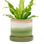 Pot, Green Layers w/s