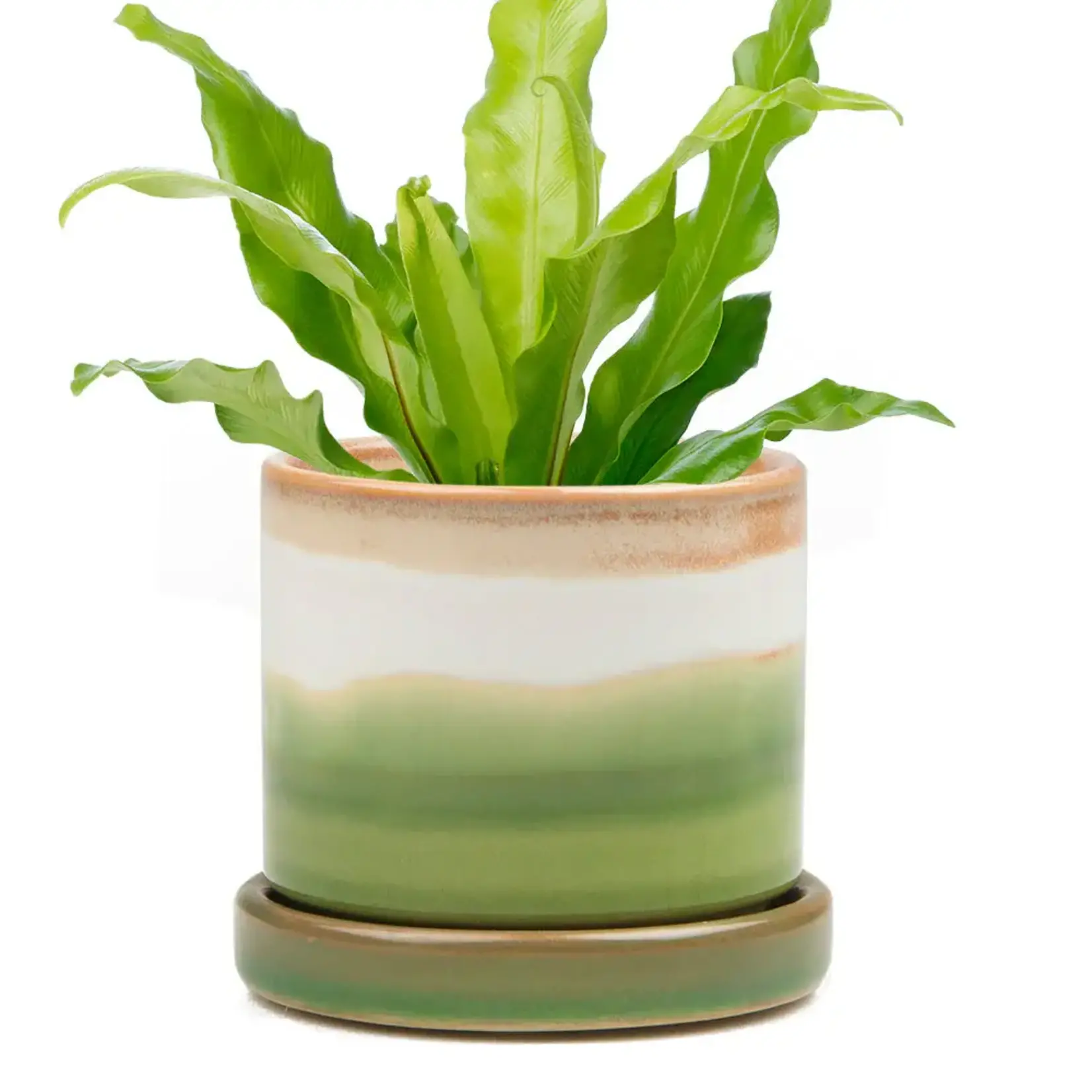 Pot, Green Layers w/s