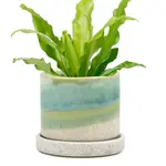 Pot, Sea Green w/s