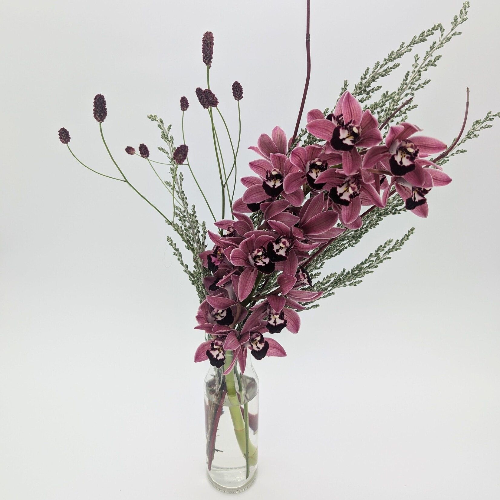 Orchid in a Bottle