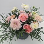 Floral Arrangement, Pink Lemonade