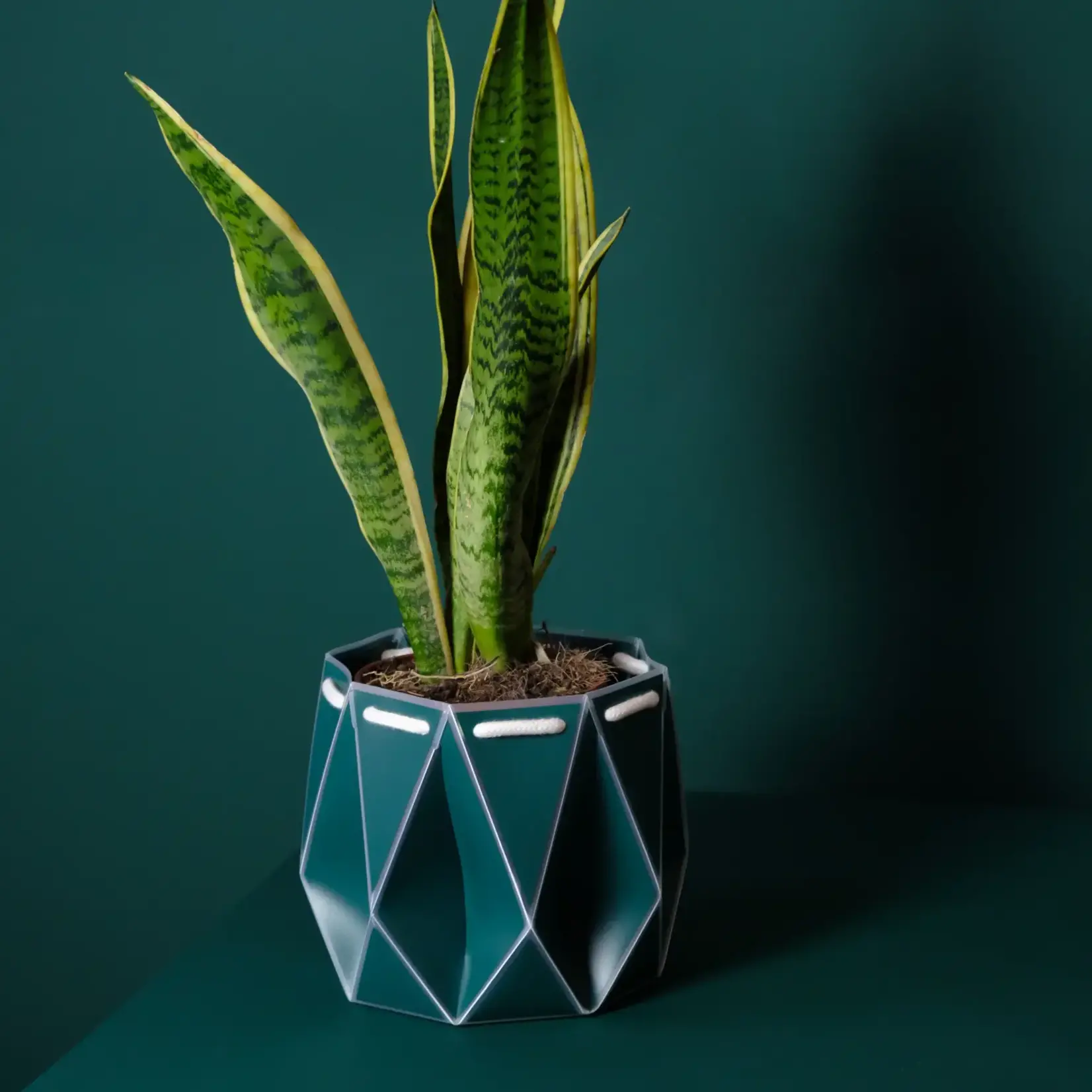 Pot, Self-watering 18cm