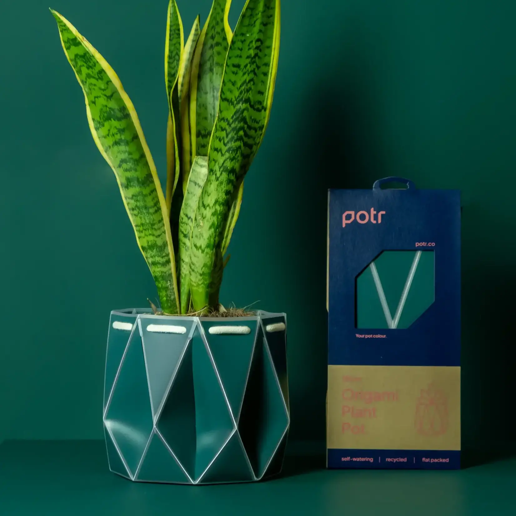 Pot, Self-watering 18cm