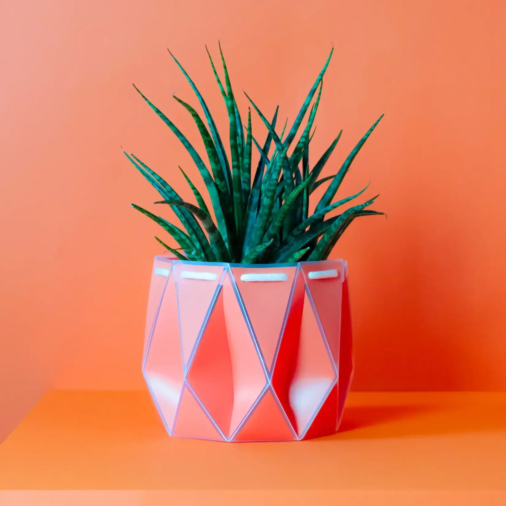 Pot, Self-watering 18cm