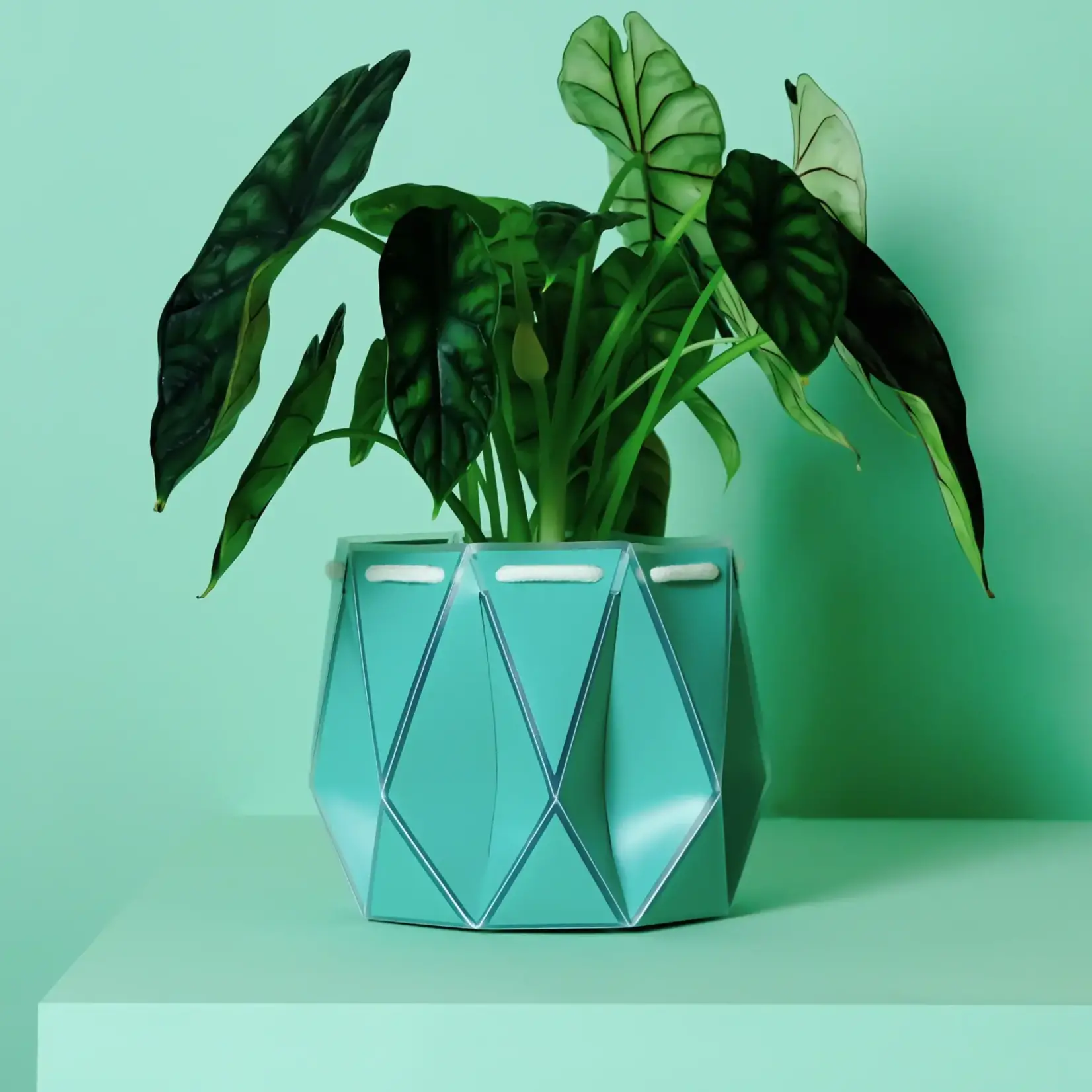 Pot, Self-watering 18cm