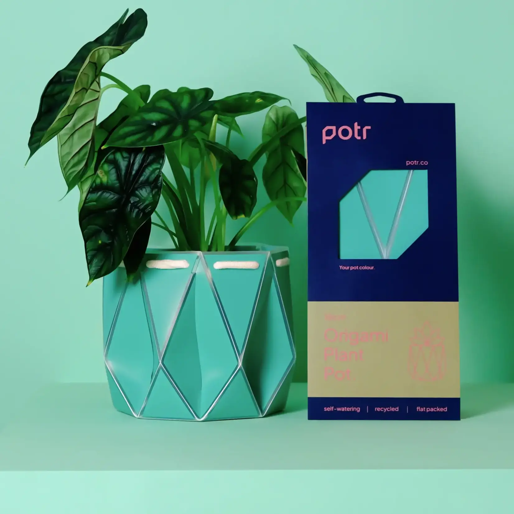 Pot, Self-watering 18cm