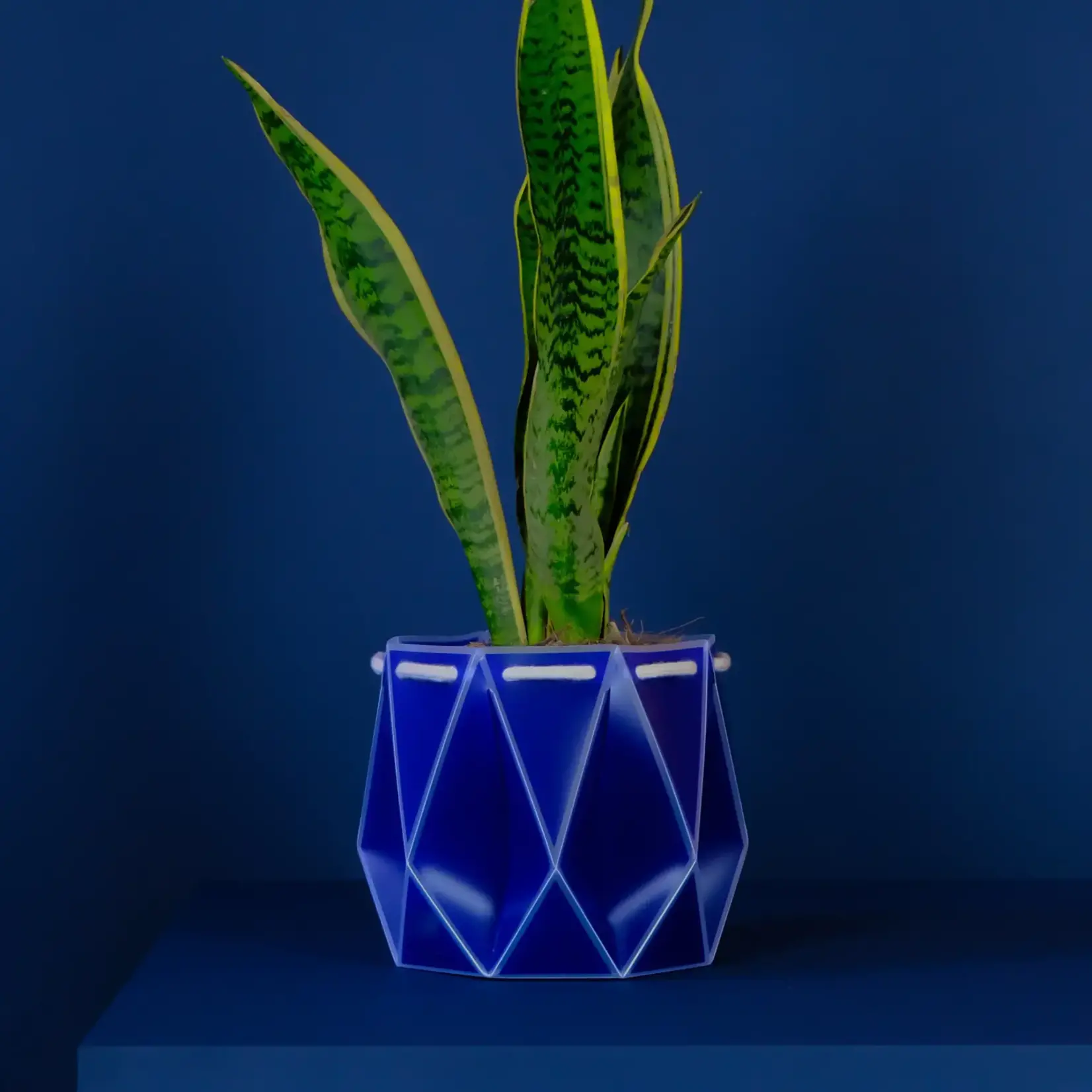 Pot, Self-watering 18cm