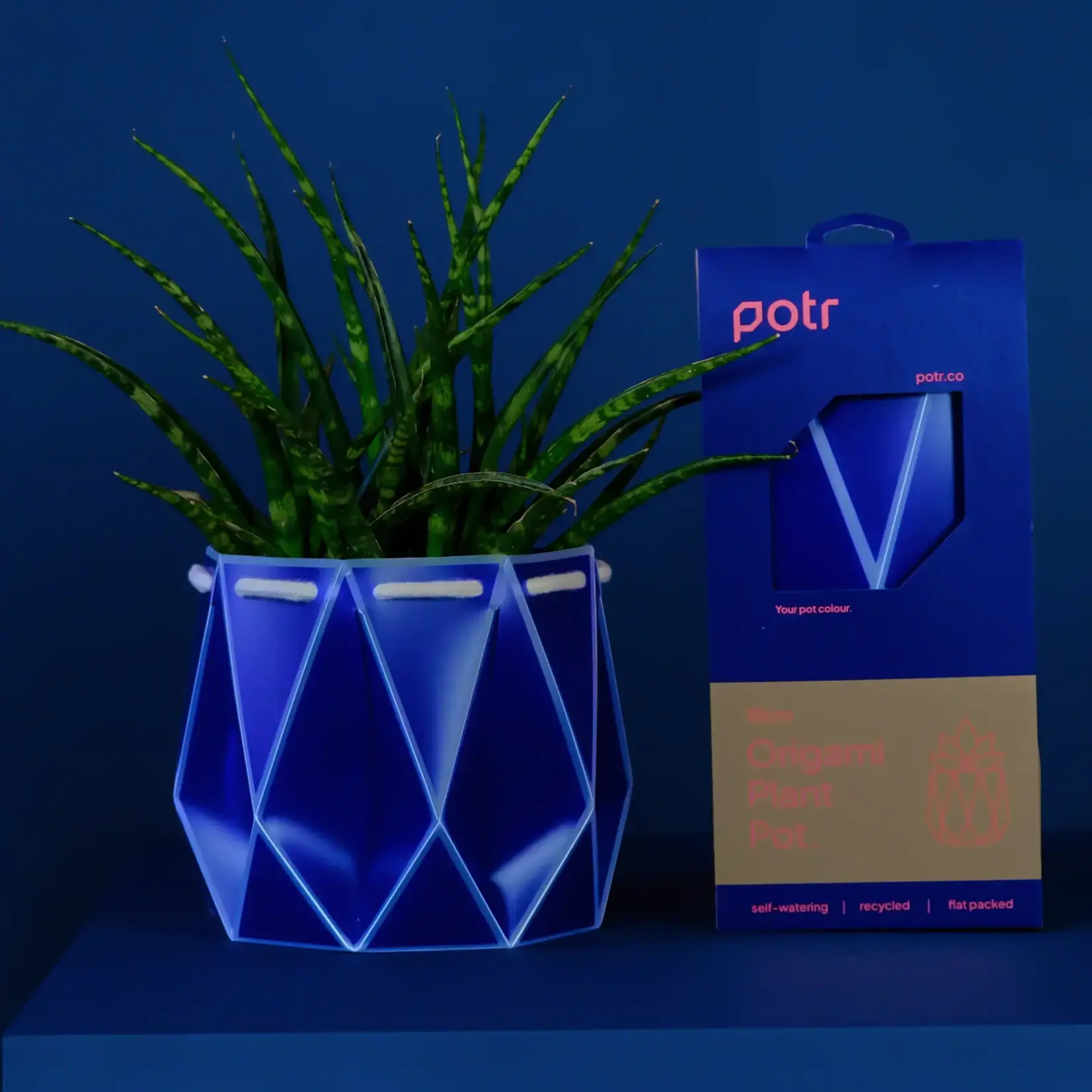 Pot, Self-watering 18cm