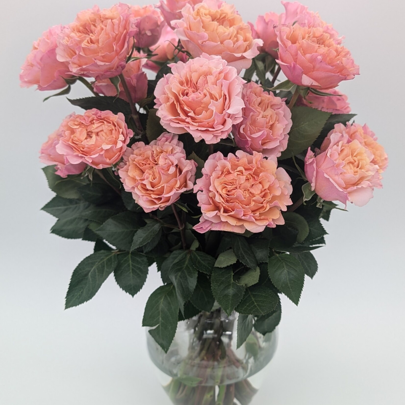 Floral Arrangement - Roses