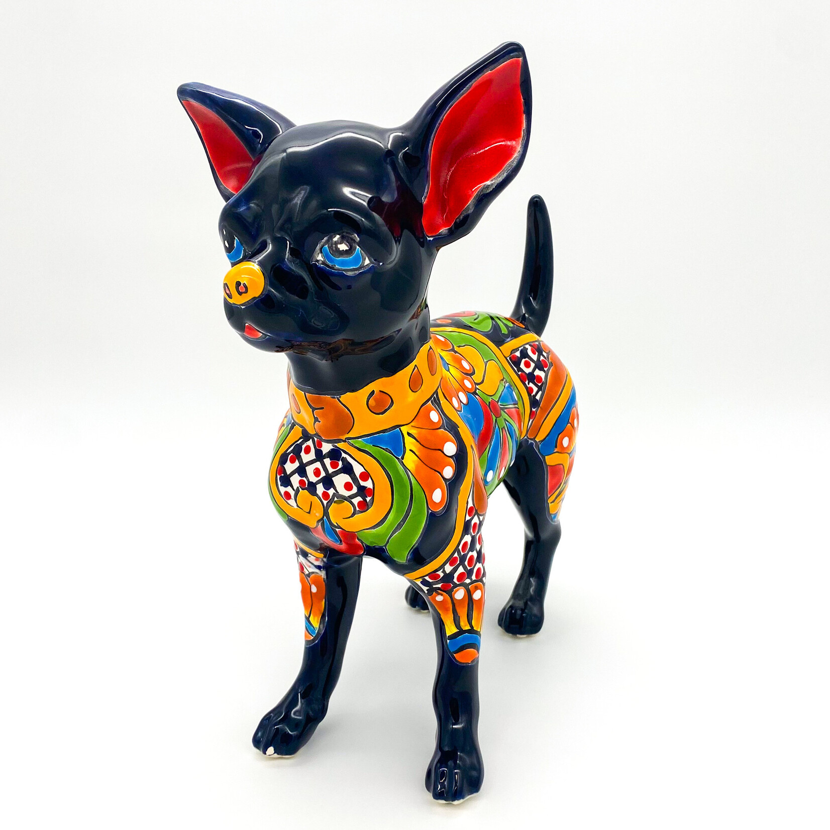 Dog, Chihuahua Talavera