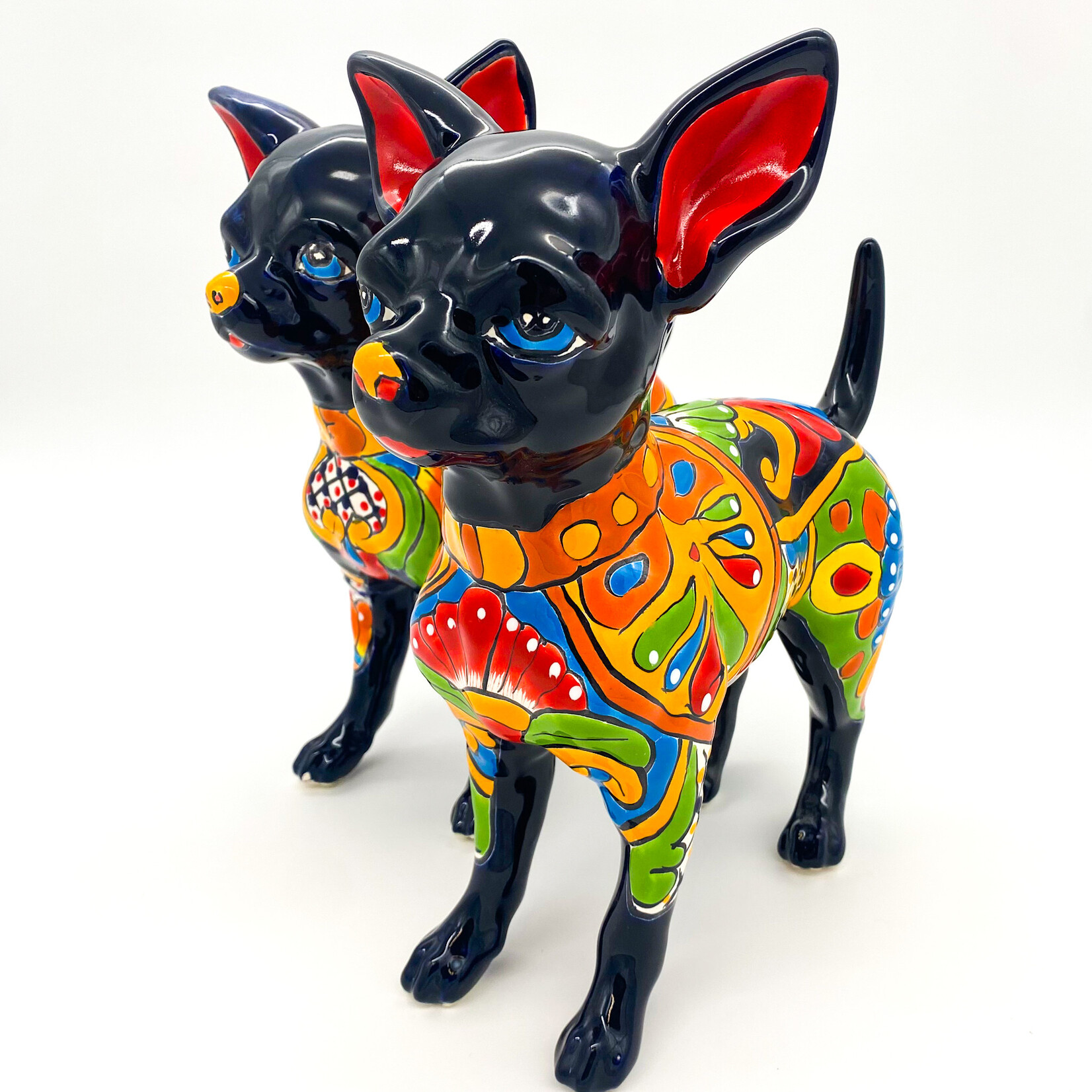 Dog, Chihuahua Talavera
