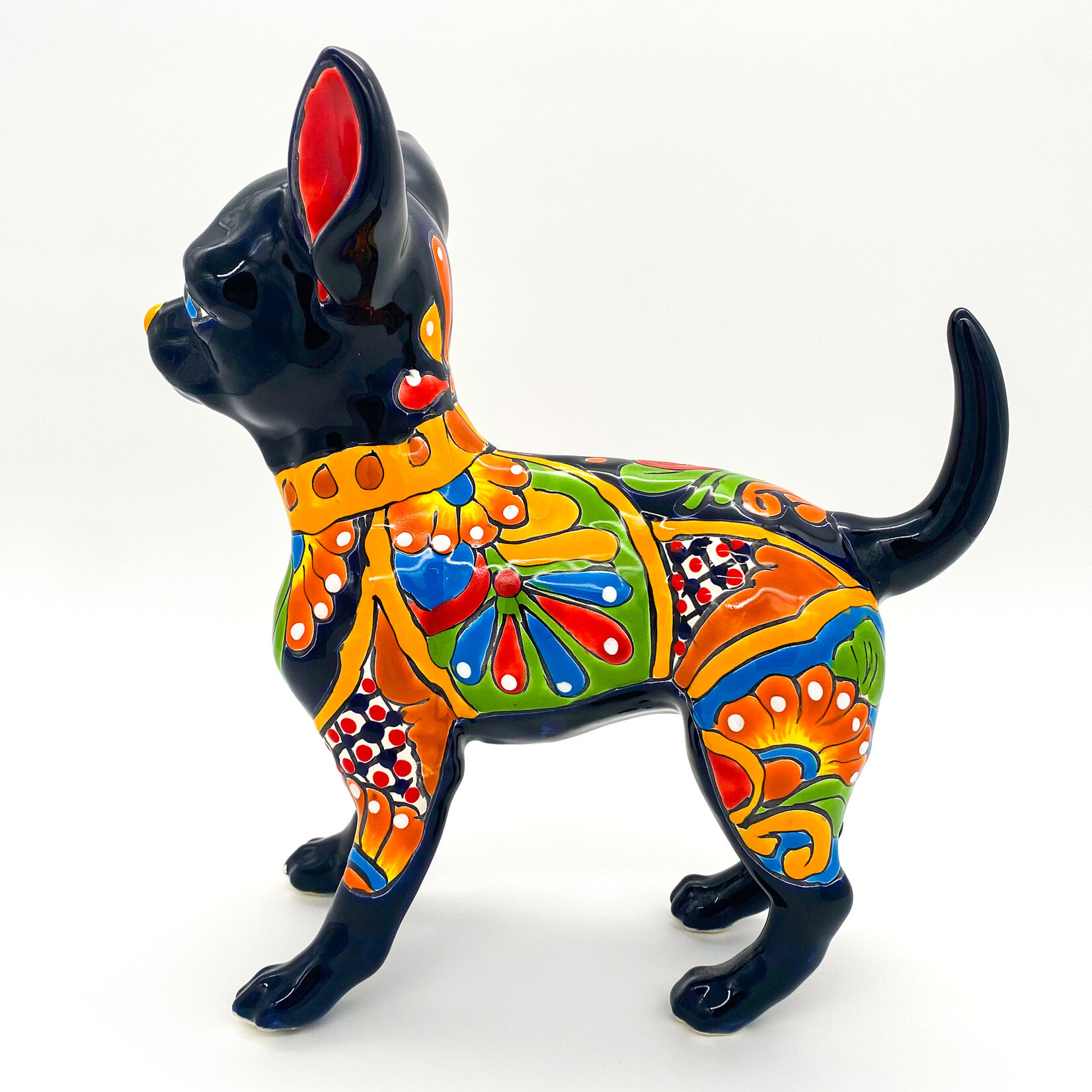 Dog, Chihuahua Talavera