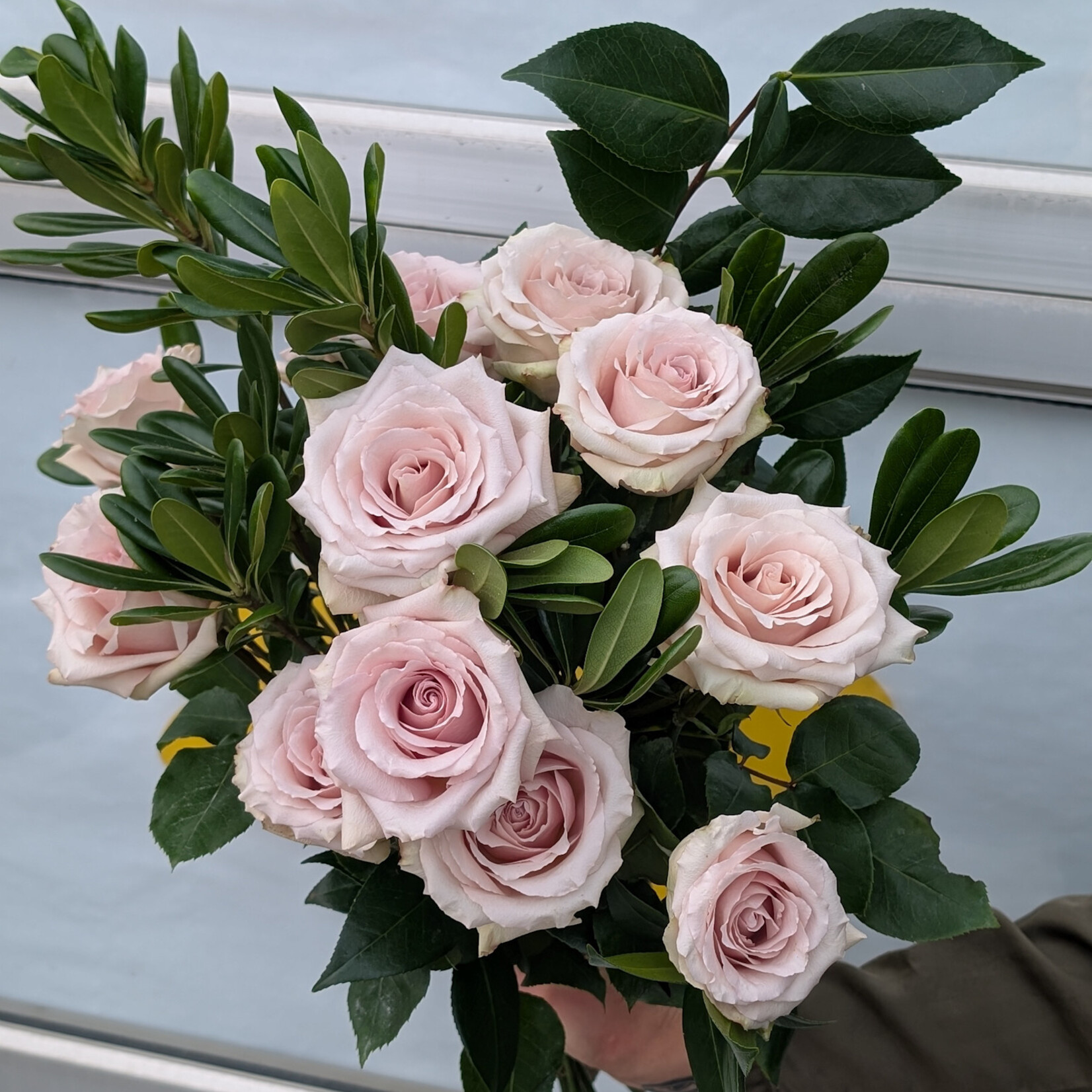 Cut Flower Bouquet - Roses