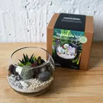 Terrarium Kit, Globe