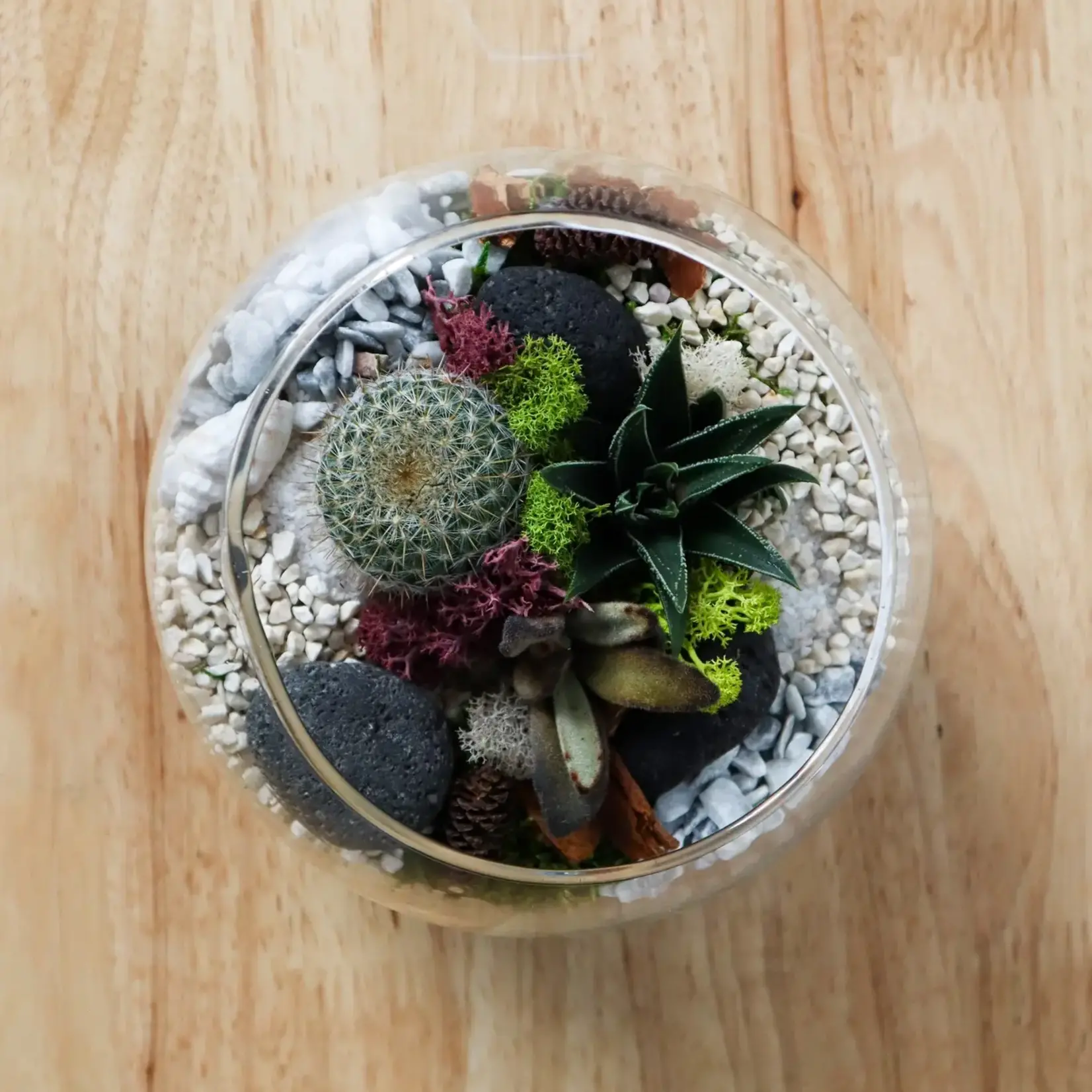 Terrarium Kit, Globe