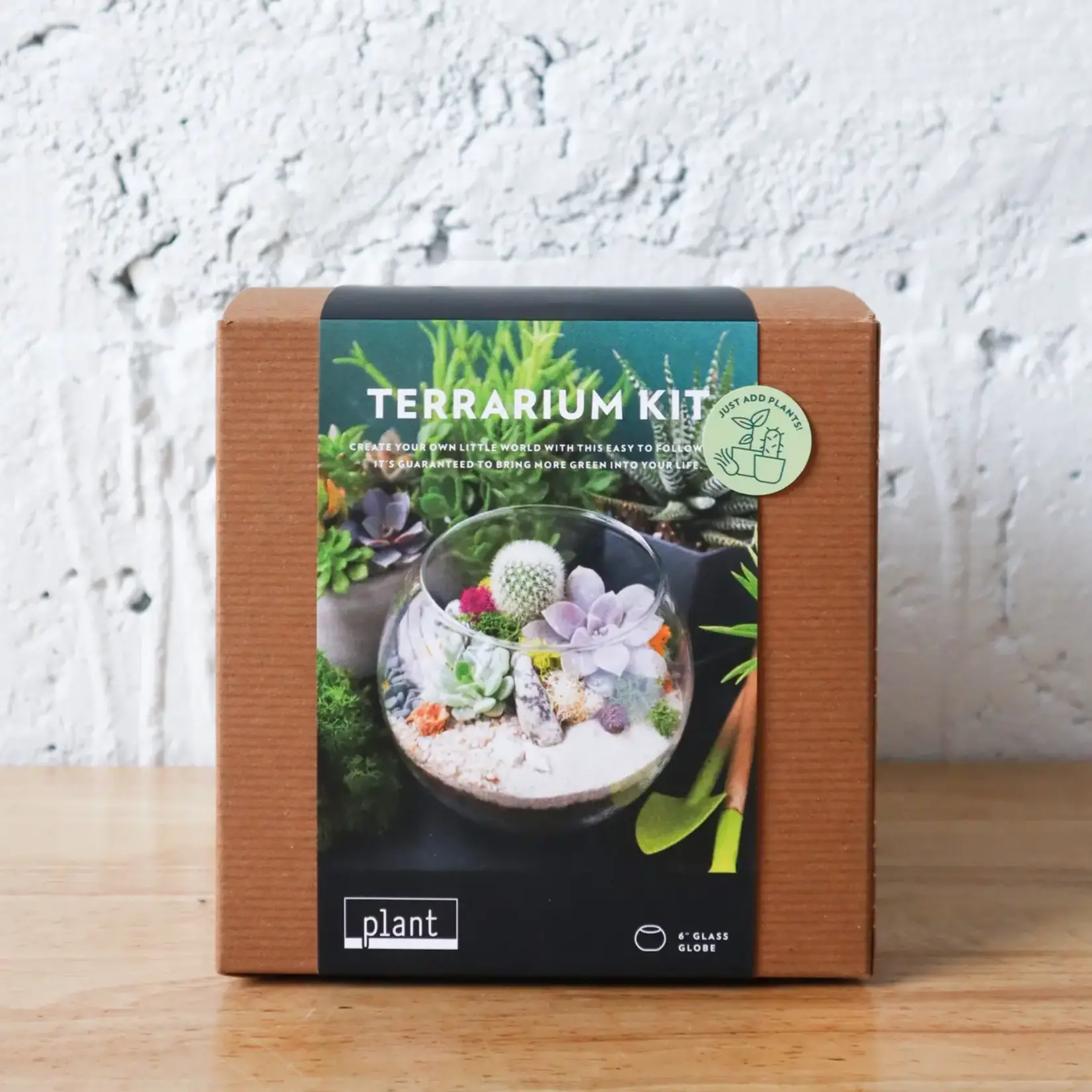 Terrarium Kit, Globe