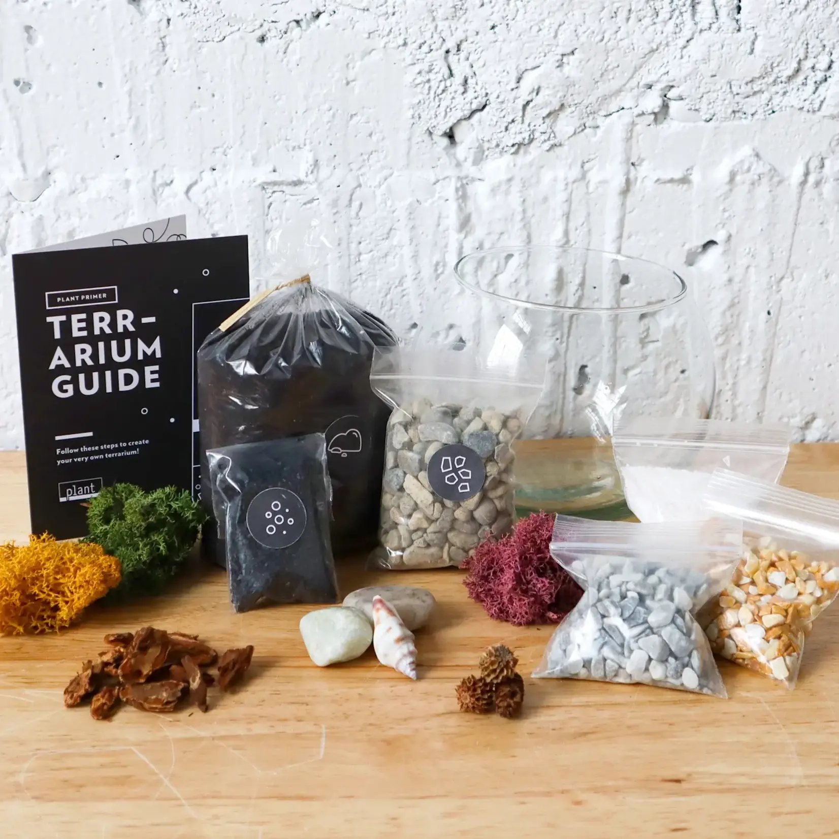 Terrarium Kit, Globe