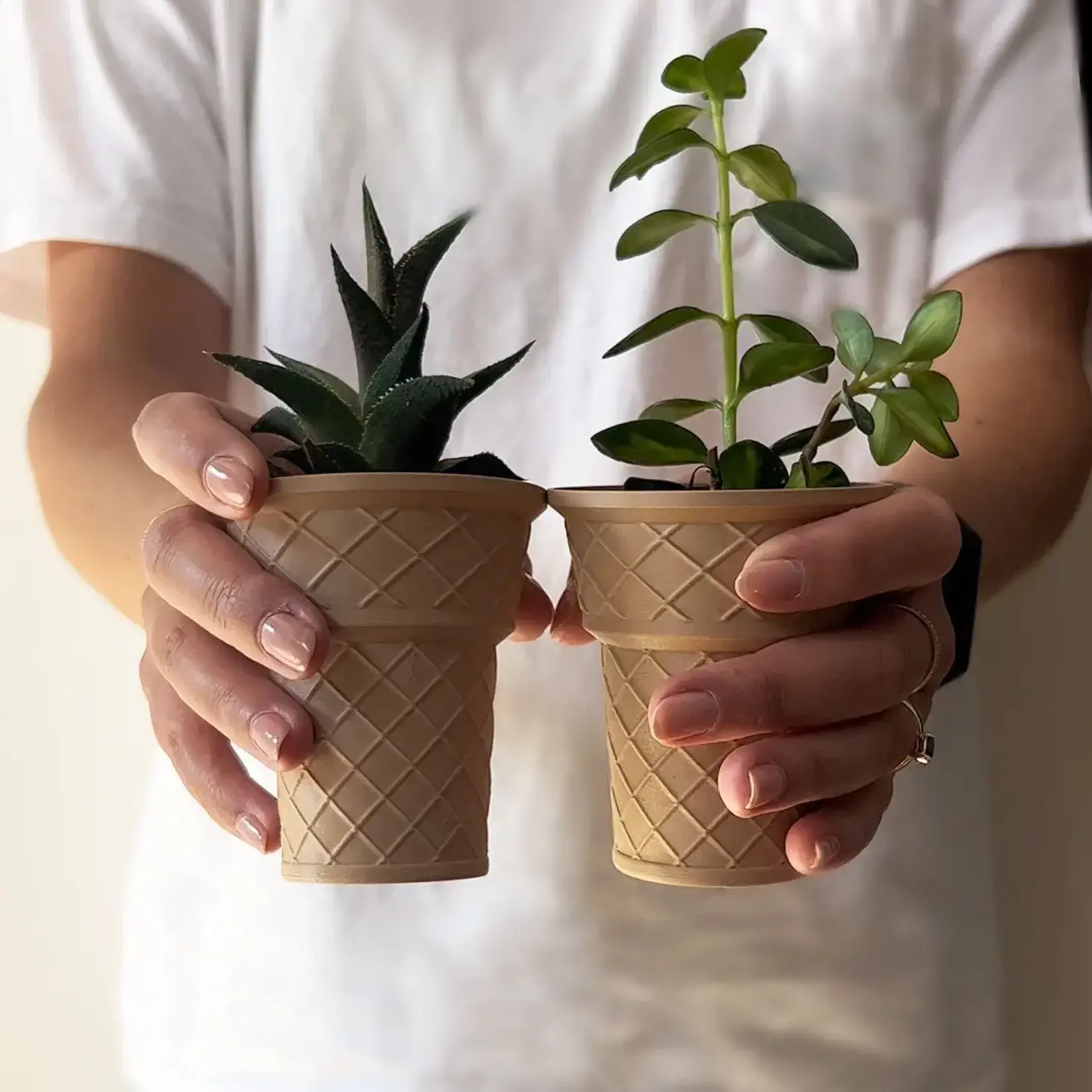 Pot, Ice Cream Cone 3in