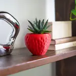 Pot, Strawberry