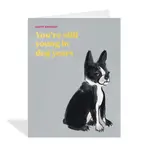 Card, Still Young Birthday