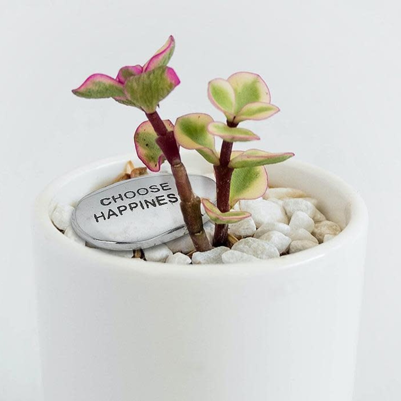 Pebble, Engraved Silver Choose Happiness
