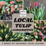Local Tulip Subscription