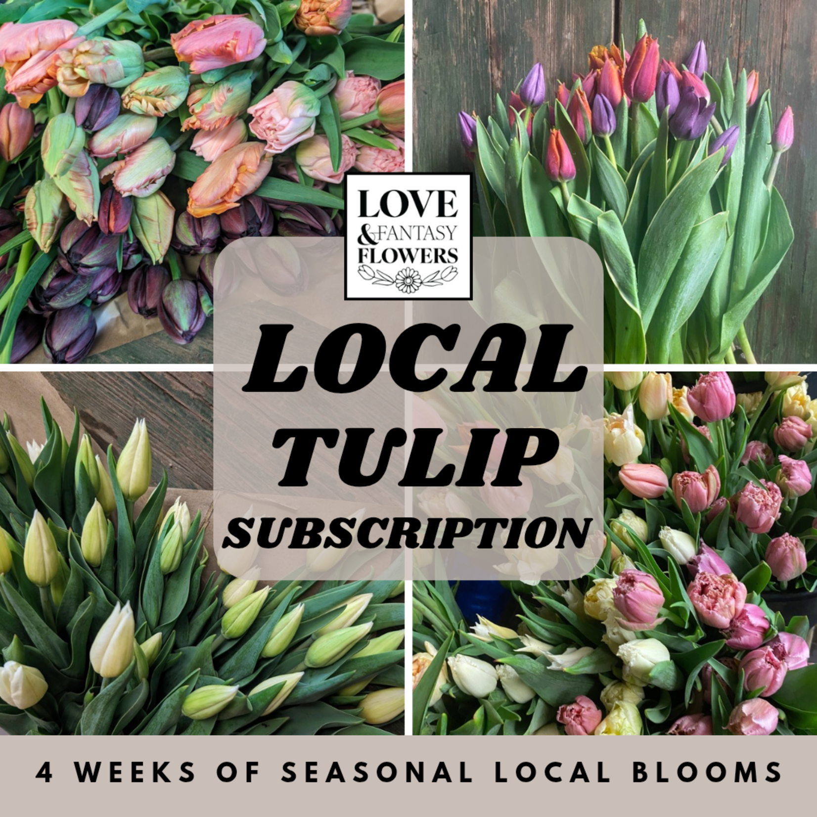 Local Tulip Subscription