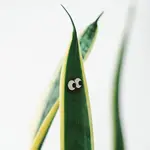 Plant Magnet, Googly Eyes 4 pc