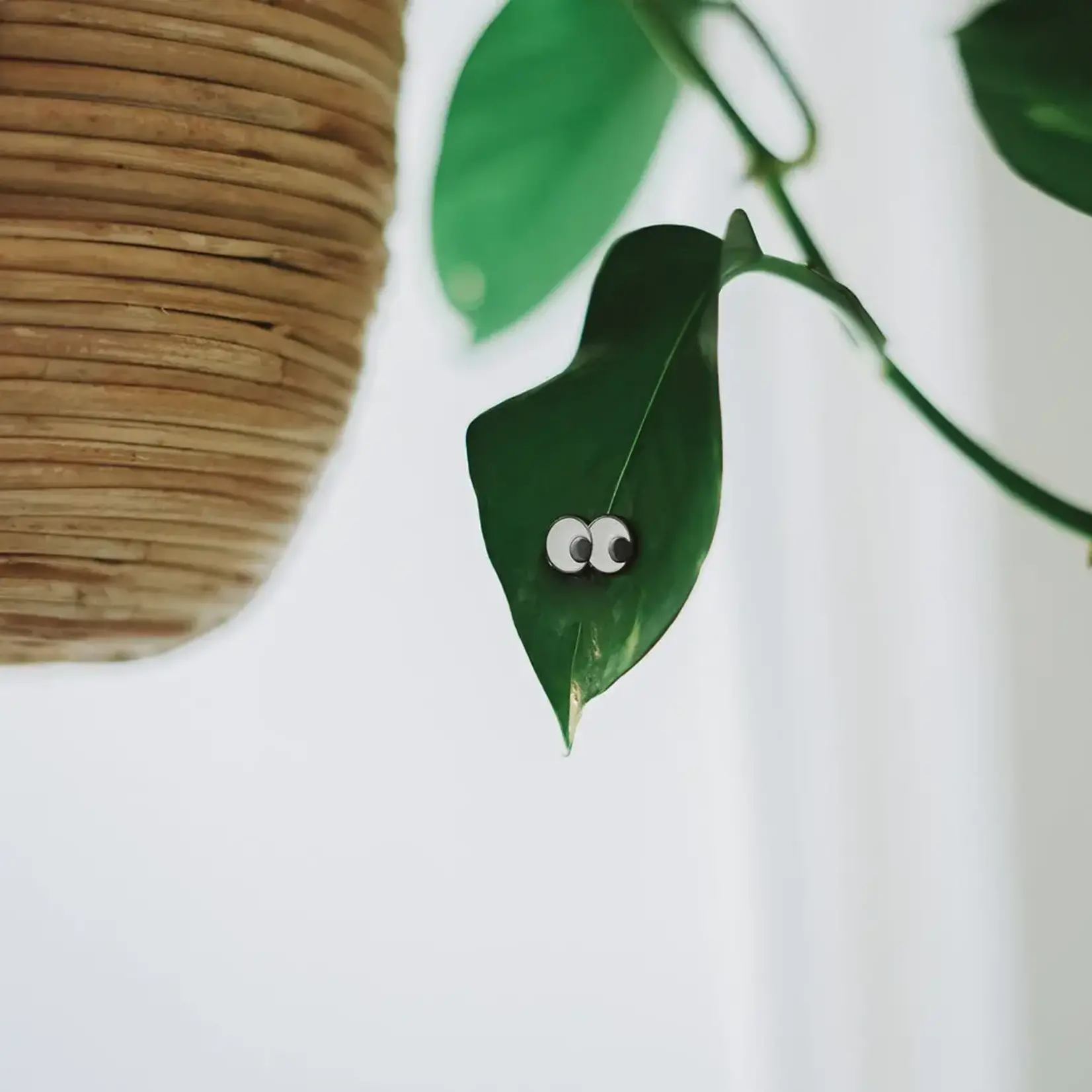 Plant Magnet, Googly Eyes 4 pc
