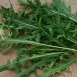 Seeds, Greens Surrey (West Coast Seeds)