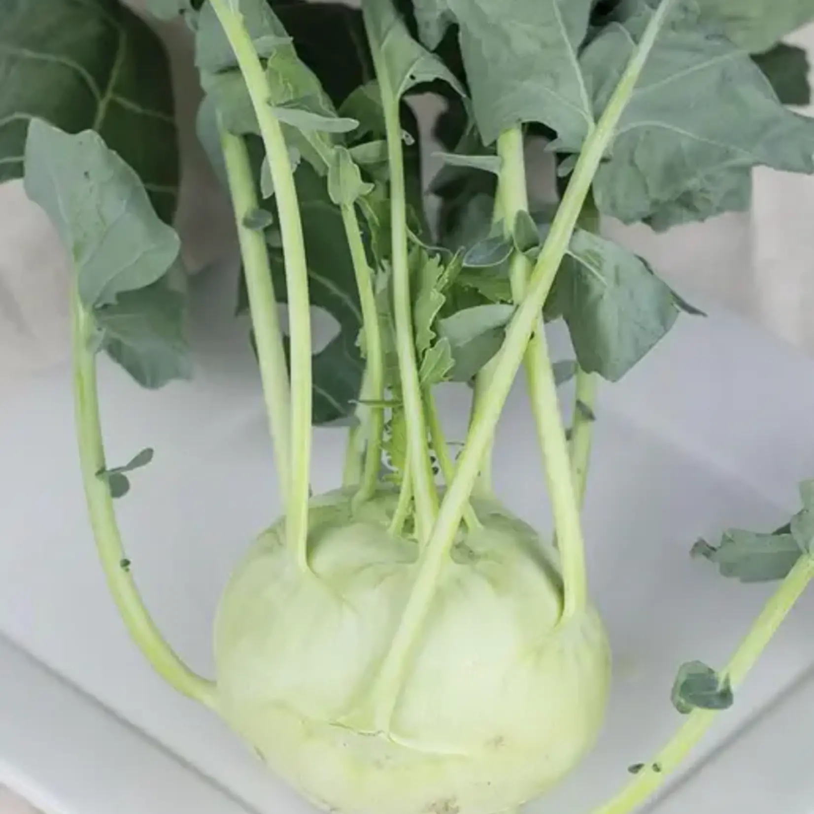 Seeds, Kohlrabi Konan F1 (West Coast Seeds)