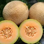 Seeds, Melon Tasty Bites F1 (West Coast Seeds)