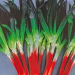 Seeds, Onions Red Beard (West Coast Seeds)