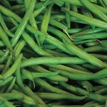 Seeds, Beans Blue Lake (West Coast Seeds)