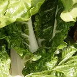 Seeds, Swiss Chard Fordhook Giant (West Coast Seeds)