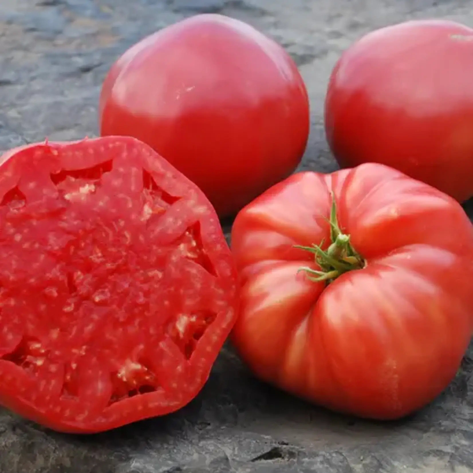 Seeds, Tomato Mortgage Lifter Organic (West Coast Seeds)