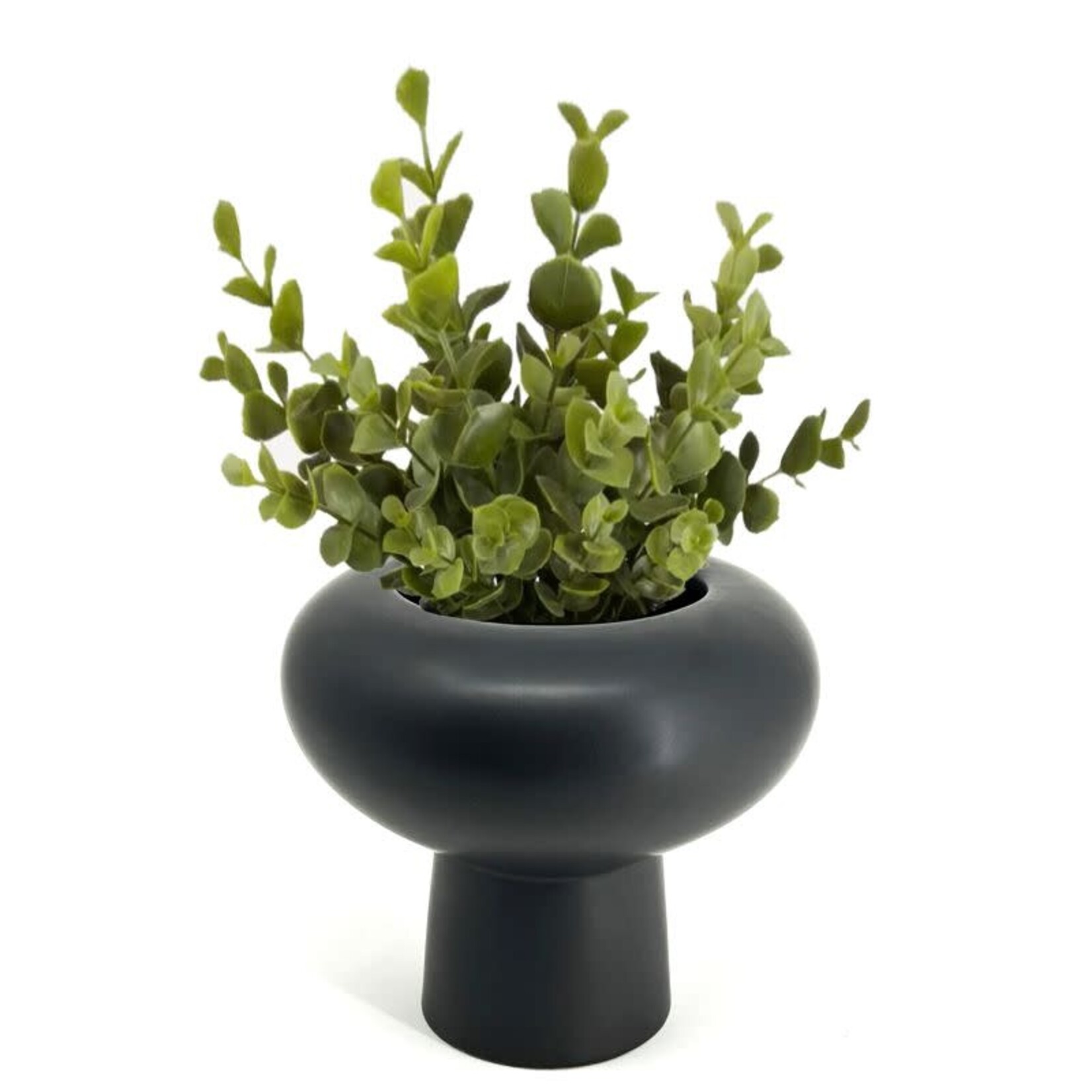 Vase, Black Compote