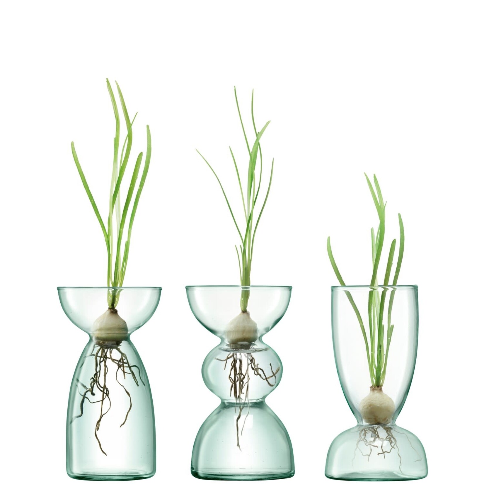 Vase, Canopy Vase Clear 5in #1