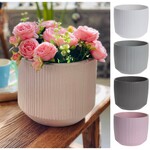 Pot, Ceramic Lines Asst. 5.5in