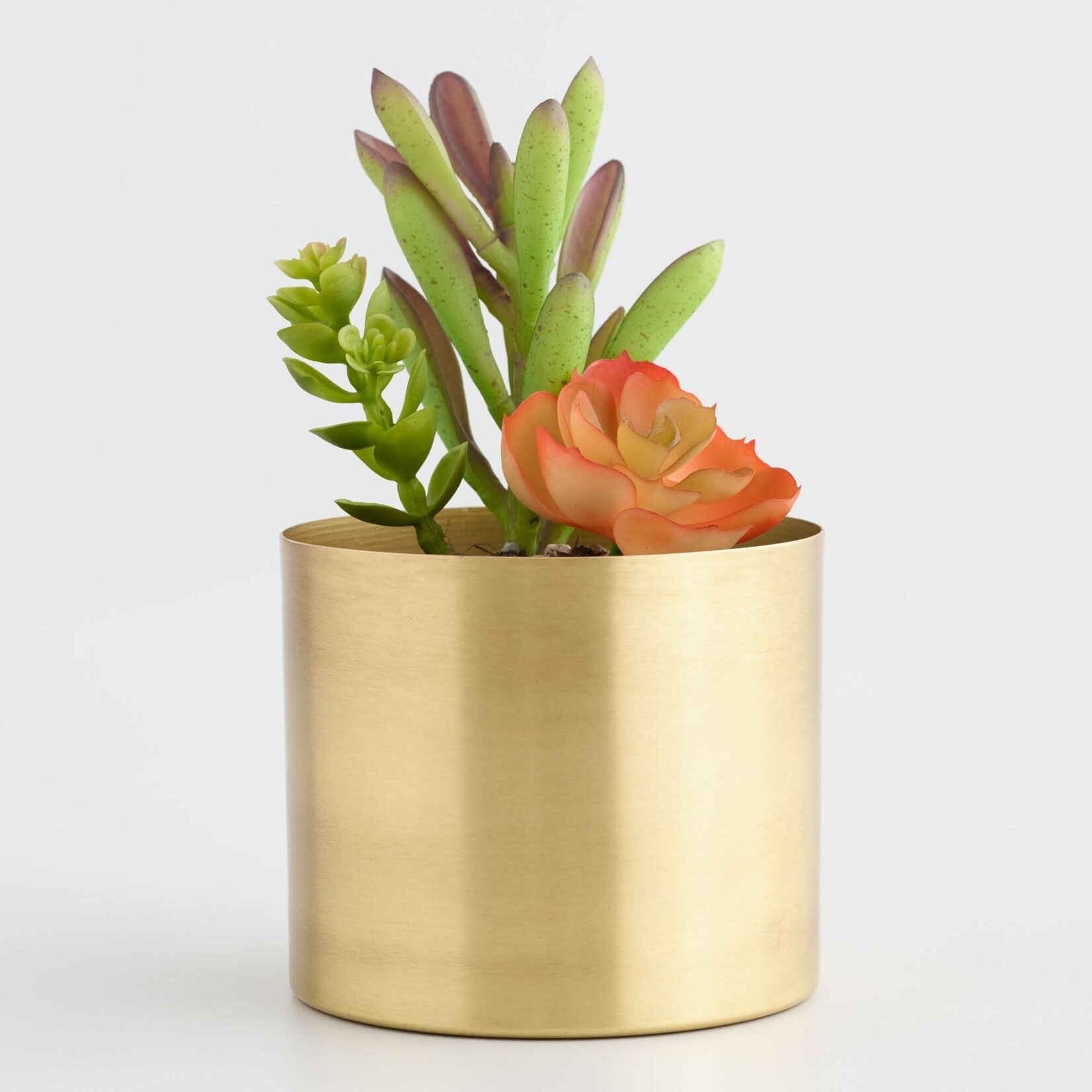 Potcover, Matte Gold 6 in