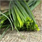 Herb, Chives Onion 3 in