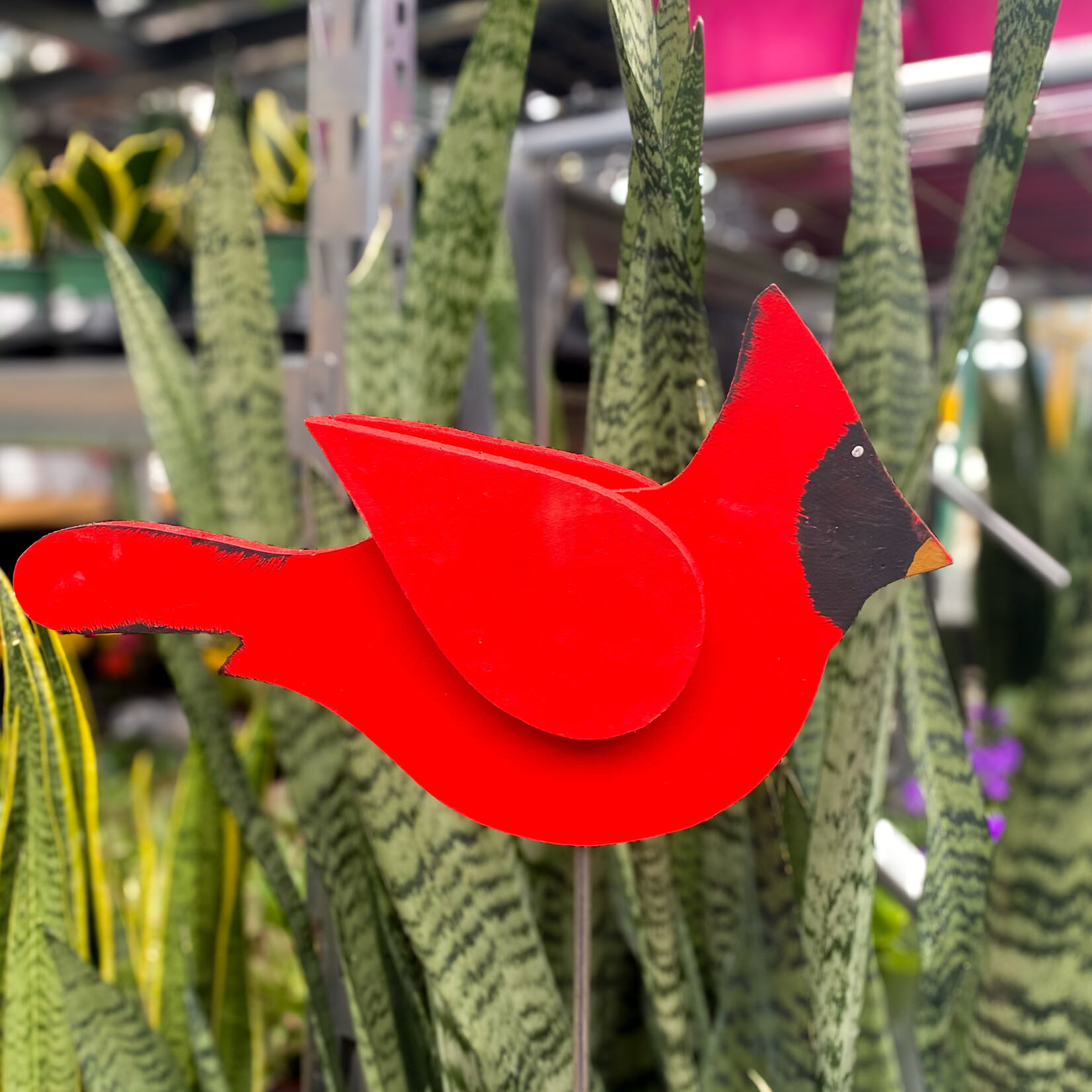 Stake, Garden Cardinals