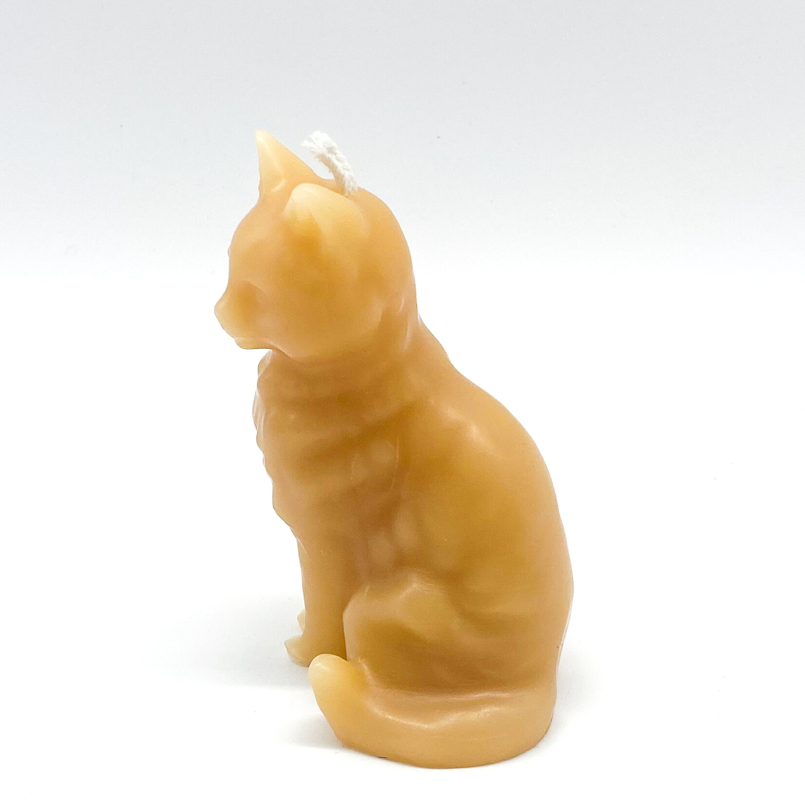Candle, Beeswax Cat