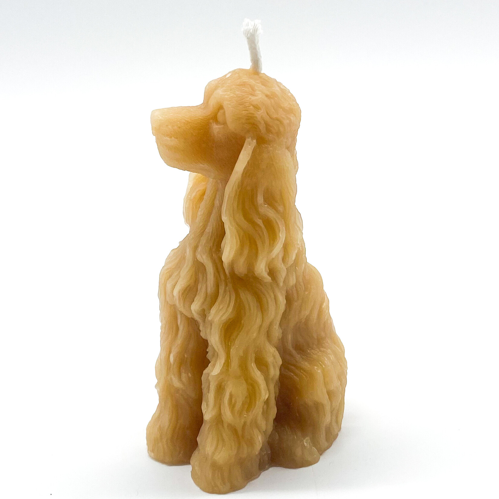 Candle, Beeswax Cocker Spaniel