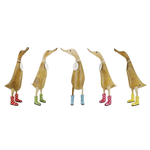Ducks, Spotty Boots
