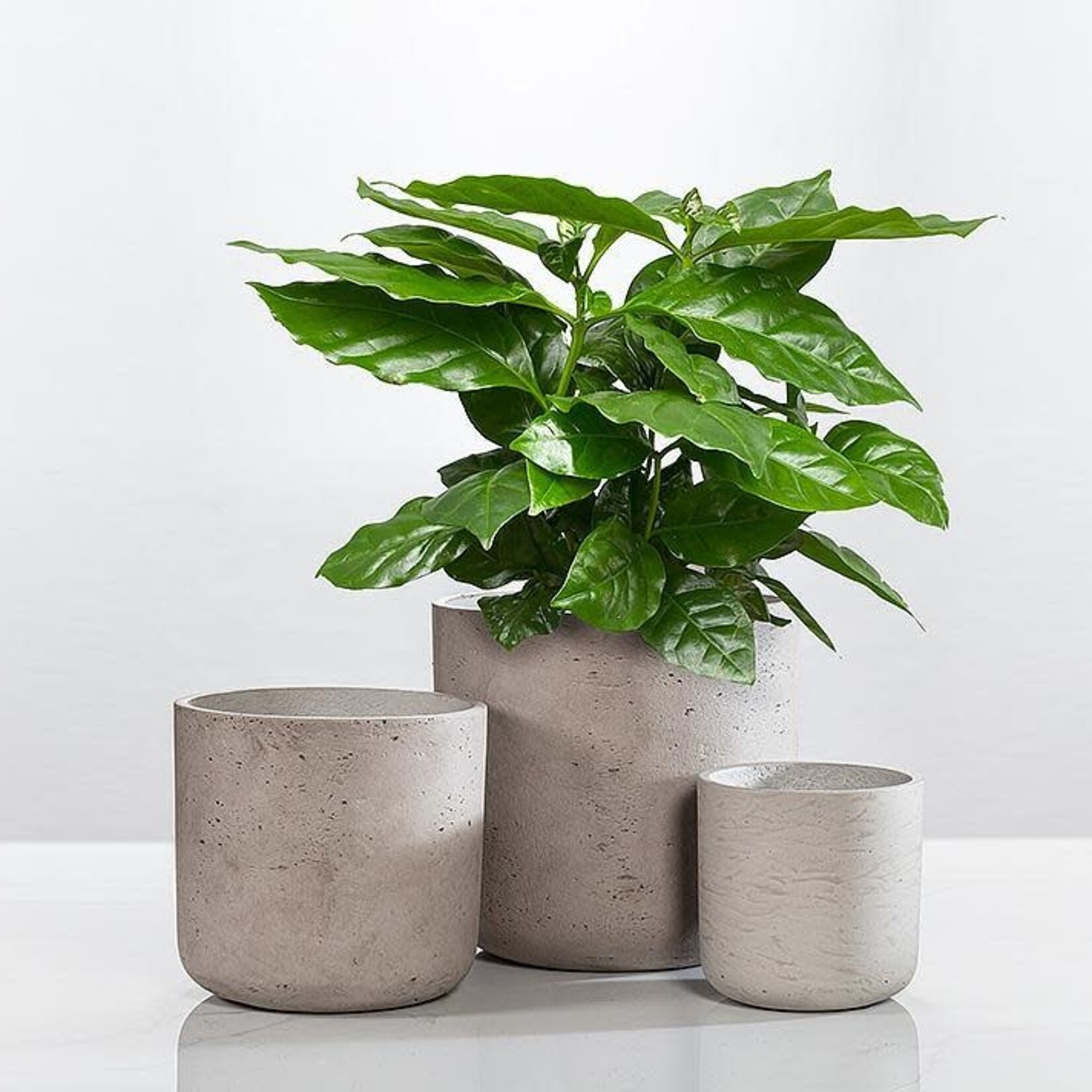Planter, Grey Cement 10 in