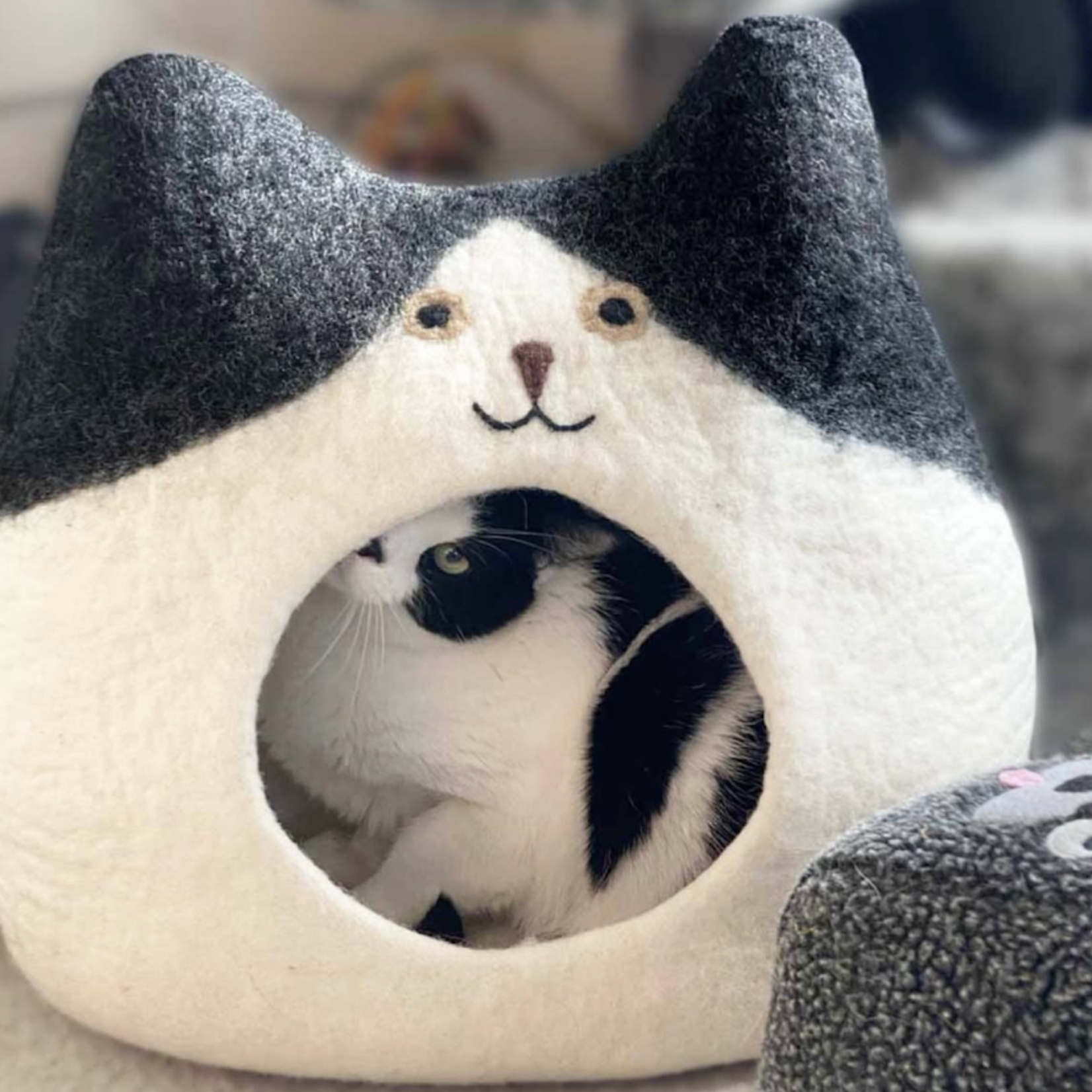 Cat Cave, Fox Felt