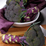 Broccoli, Purple Magic 4 in